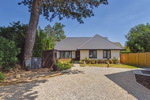 Front- click for photo gallery